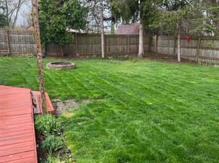 Paul A.'s grass cutting service result