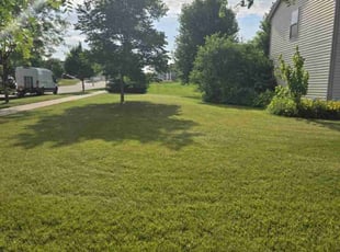 Vicki S.'s lawn care service result