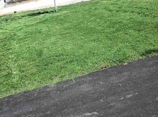 Will b.'s grass maintenance service result