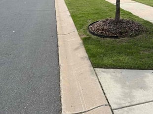 Samantha S.'s lawn care service result