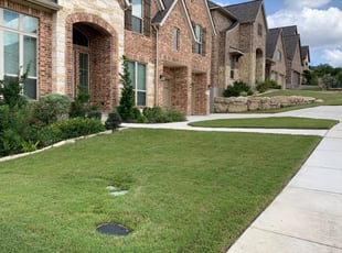 Heather H.'s Bush Trimming service result