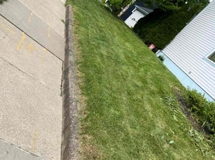 Matthew N.'s grass cutting service result