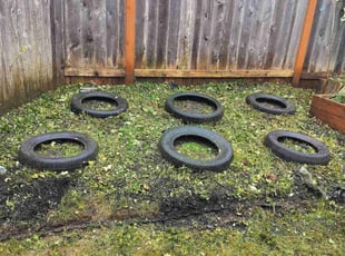 Thomas C.'s lawn service service result