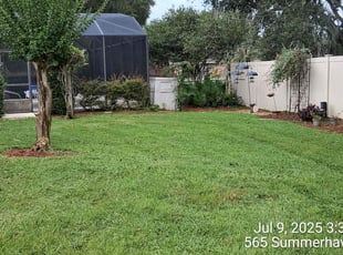 Johnnie F.'s grass cutting service result