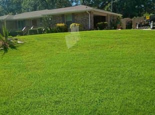 Joe N.'s lawn service service result