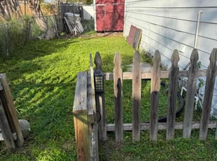 Liz W.'s Long Grass Cleanup service result