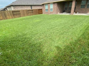 Luke D.'s lawn maintenance service result