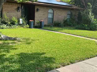 Sarah R.'s grass maintenance service result