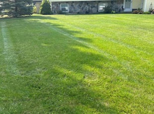 Brian H.'s lawn care service result