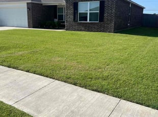 Natalie C.'s turf maintenance service result