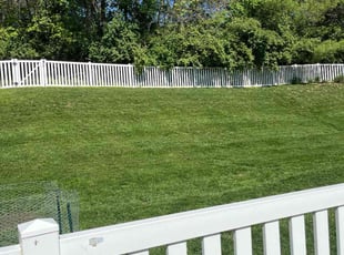 Cortney H.'s grass cutting service result