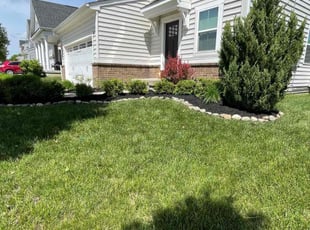 Adam K.'s Mulching service result