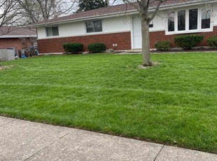 Robin N.'s lawn service service result