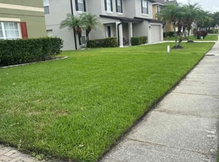 Al T.'s lawn maintenance service result