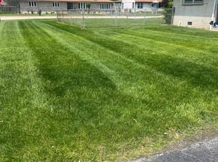 Reid B.'s turf maintenance service result