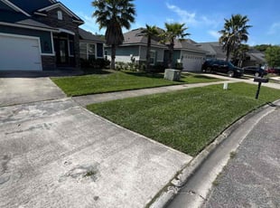 Alexa H.'s lawn care service result