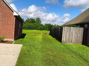 Joshua W.'s grass cutting service result