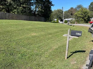 Alan C.'s turf care service result