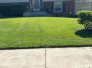 SHARON H.'s grass maintenance service result
