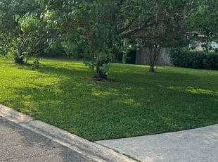 Stephanie Y.'s lawn service service result