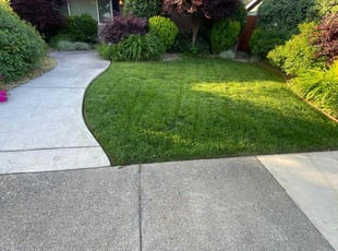 Joyce Z.'s turf care service result