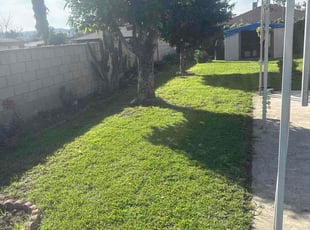 Linda C.'s turf care service result