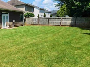 Pia S.'s lawn service service result