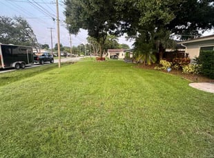 Wendee H.'s lawn maintenance service result