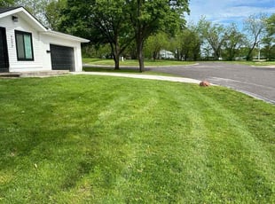 Steve V.'s turf maintenance service result