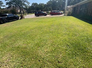 Monica J.'s lawn care service result