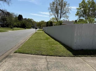 Meghan T.'s lawn care service result