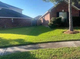 Francisco s.'s lawn care services service result