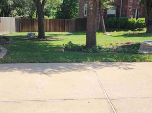 Zoey K.'s grass cutting service result