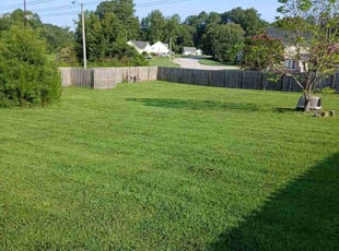 Stacey&Jim A.'s turf care service result