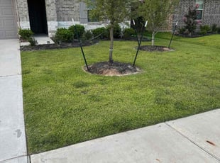 lydia l.'s lawn care services service result