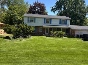 Ashley C.'s grass maintenance service result