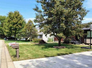 Melissa I.'s grass maintenance service result