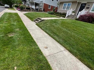 Trish B.'s turf care service result