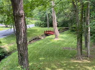 Dorothy R.'s turf maintenance service result