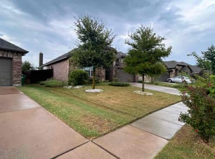 Michelle D.'s grass maintenance service result