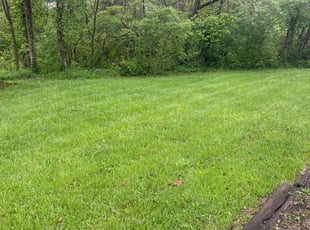 Saarah A.'s gardening service service result