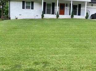 Brett L.'s grass maintenance service result