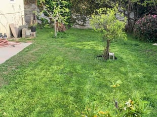 Gerald W.'s turf care service result