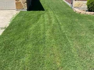 Doug A.'s turf maintenance service result