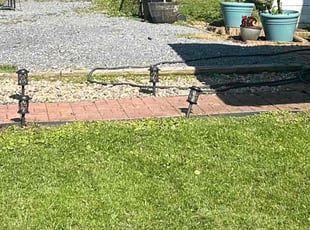 James P.'s grass maintenance service result