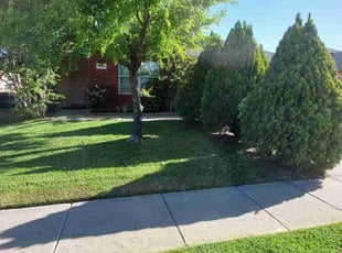 Suzanne S.'s grass maintenance service result