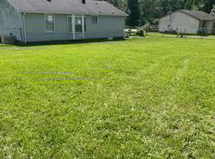 Eugene L.'s turf care service result