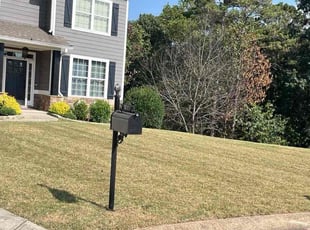 Teresa C.'s lawn care services service result