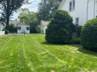 David M.'s lawn care service result