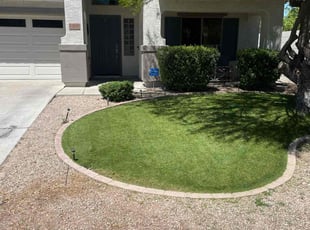 Larhonda D.'s turf maintenance service result